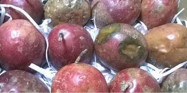 ���˰l(f��)ù��ˮ����(hu��)��ô���� ���˰l(f��)ù��ˮ����ô�a(b��)��