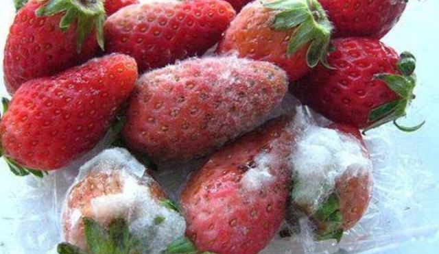 ���˰l(f��)ù��ˮ����(hu��)��ô�ӣ� ���˰l(f��)ù��ˮ����ô�a(b��)��