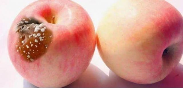 ��һ�Ή�ˮ�����°��᣿��ô�ܷ�ֹˮ���l(f��)ù��ô��