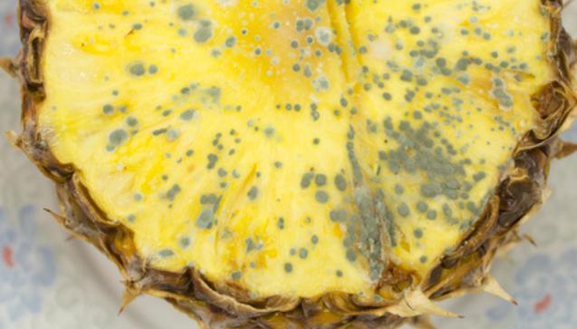 ��һ�Ή�ˮ�����°��᣿��ô�ܷ�ֹˮ���l(f��)ù��ô��