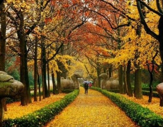 �Ͼ���ȥʮ��vʷ���c(di��n)����ɽ��@��ݰ��硢��Т�꽨����ˇ�߳�