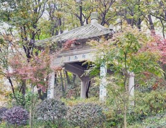 �Ͼ����M�ֺ���ľ��c�������ɽˮ���⡢���ӏR�Ļ��Շ����