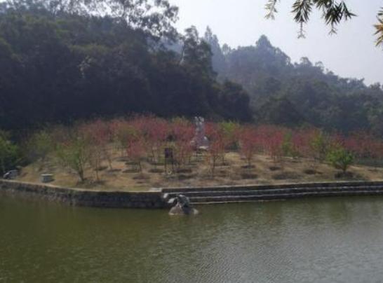 ���^����ĵط����а񣬵Cʯ�L�����م^�L���^�����ϰčuֵ�Å��^