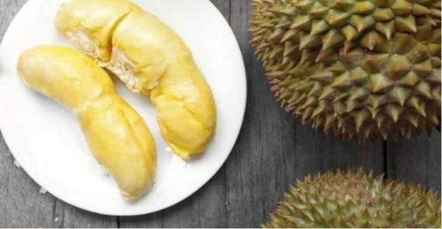 ��ɏ�������ӷŲŕ��� ��ɏ���ְlù���ܳԆ�