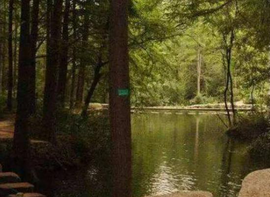 ��ꖺ���ĵط��������u��ɽ�L���^ֲ���S��������`ɽ���o��Ȼ