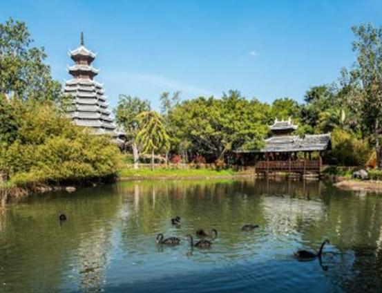 �B�T�������α�ȥʮ���c�������W���Ƅ������ν����İlչ