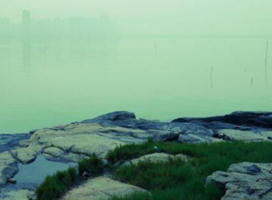 �B�T�������α�ȥʮ���c�������W���Ƅ������ν����İlչ