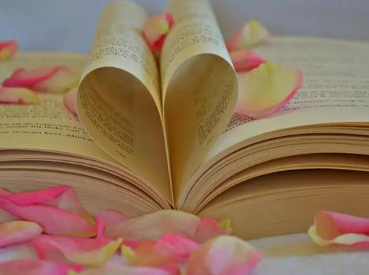 ���|��ӕ���Ό����������|�x��vip�������M��