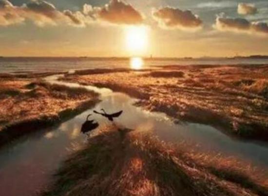 �Ϻ������ֱ��˵ĵط��������Ϻ������^��ұ��١�����·�Ļ��֚�Ϣ���