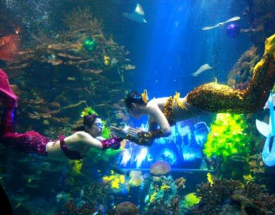 �Ϻ�ֵ��ȥ�����T���c����ɽ����ֲ��@���L�L���������H�И�Ȥ