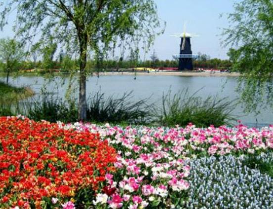 �Ϻ�ֵ��ȥ�����T���c����ɽ����ֲ��@���L�L���������H�И�Ȥ