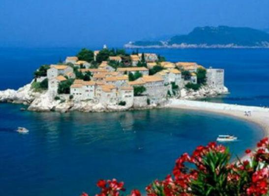 �Ї�(gu��)�����˴󺣞���������̖(h��o)�Q���µ�һ����Ұ������ɫ