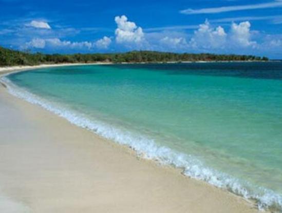 �Ї�(gu��)�����˴󺣞���������̖(h��o)�Q���µ�һ����Ұ������ɫ