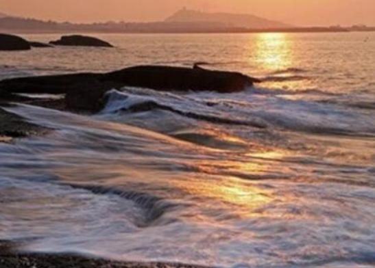 �Ї�(gu��)�����˴󺣞���������̖(h��o)�Q���µ�һ����Ұ������ɫ