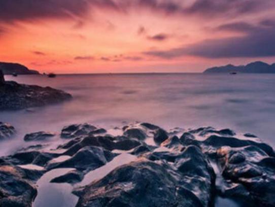 �Ї�(gu��)�����˴󺣞���������̖(h��o)�Q���µ�һ����Ұ������ɫ