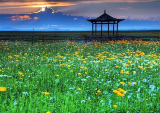 �Ї�����ʮ�󻨺�����������޹�²ݻ����������������׌����_�۽�