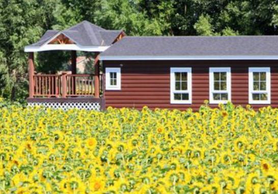 �Ї�����ʮ�󻨺�����������޹�²ݻ����������������׌����_�۽�