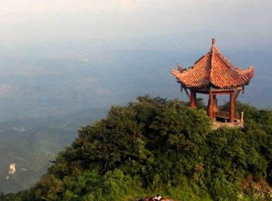 ��֦�������ĵط����]����������ɭ�ֹ��@������������Դ�L(f��ng)���^(q��)�܃�(y��u)��