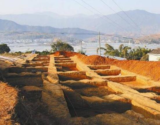 ��֦�������ĵط����]����������ɭ�ֹ��@������������Դ�L(f��ng)���^(q��)�܃�(y��u)��