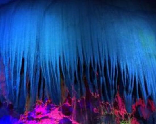 �Ž������ĵط��������]ɽ�L(f��ng)�����م^(q��)���ĵ��N(y��n)��񡢝��(y��ng)����Ȥζ