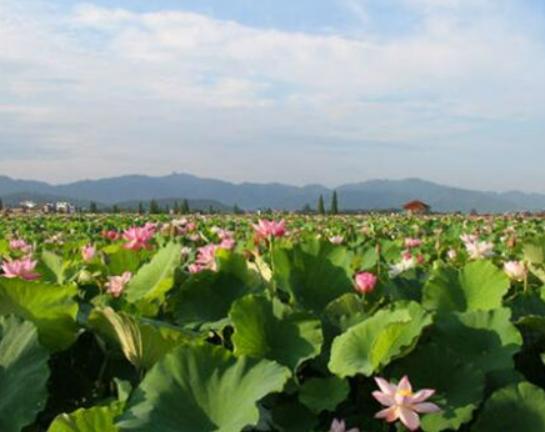 Ƽ�l�����ĵط����������ɽ��Ȼ���^������������ɫǧ�˰ّB