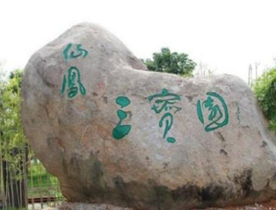 Ƽ�l�����ĵط����������ɽ��Ȼ���^������������ɫǧ�˰ّB