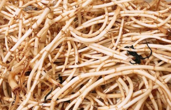 �۶����c�~�Ȳ��Ѕ^�e�᣿���۶�������Щ��Ч��