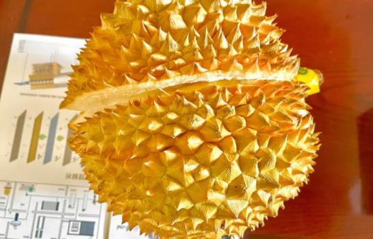 ��ɏ��ʲô�I�B�rֵ����Щ��Ⱥ�����Գ���ɏ��  ​