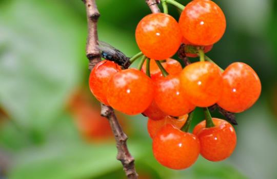 ���Һ�܇������ͬһ�Nˮ���᣿���ҵĹ�Ч������