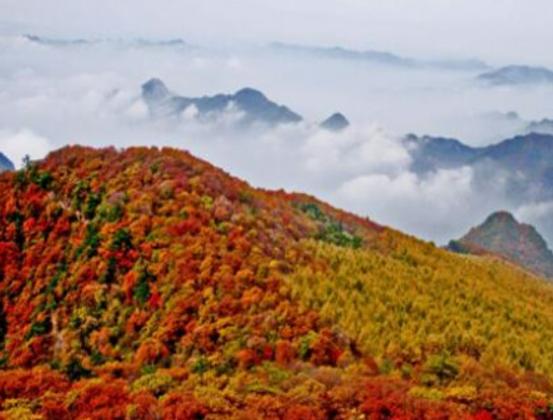 �\�������ĵط����а������m���淽�㡢�����P�ۏRֵ�Å��^