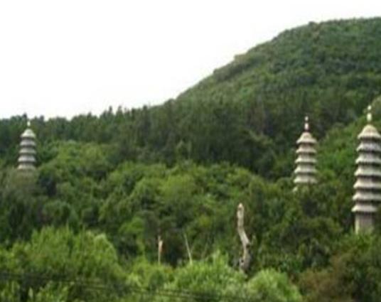 ���������ĵط�����������Ҏģ��������ɽ�L���^���ː���