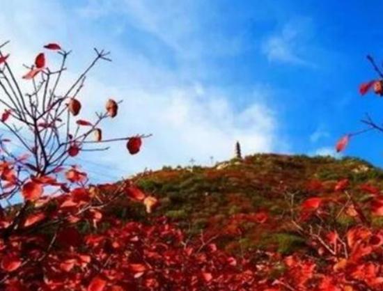 ̫ԭ�����ĵط����]���x�������^��ɫ��������ɽʯ���ǵؘ��Դ��c