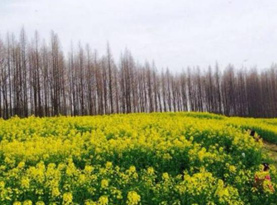 ���������ĵط����а񣬲�خ�o���^�������zַչʾ�@ˇ�g�rֵ��