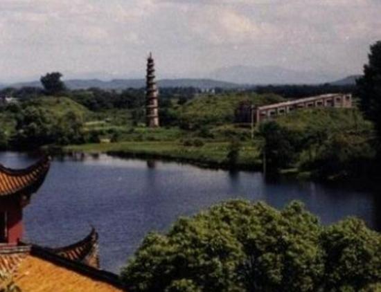 ���������ĵط����а񣬲�خ�o���^�������zַչʾ�@ˇ�g�rֵ��