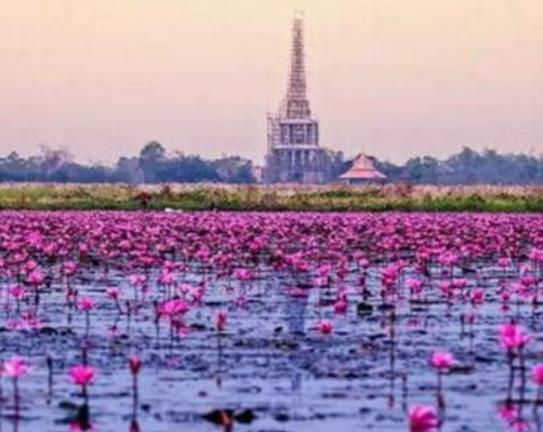 ���������ĵط����а�����L�����م^����1400����vʷ�Ĺų�