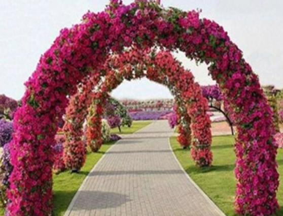 ���������ĵط����а�����L�����م^����1400����vʷ�Ĺų�