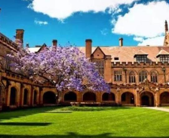 ȥϤ�����ε�ʮ����ξ��c��Ϥ��脡Ժҹ����(y��u)�������˸ۘO������