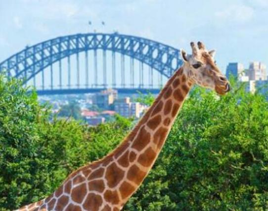 ȥϤ�����ε�ʮ����ξ��c��Ϥ��脡Ժҹ����(y��u)�������˸ۘO������