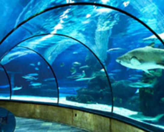 ��َ�����ȥ�Ϻ������ξ��c���ɿ����_�Ę��@���L�L��������ǳ�����