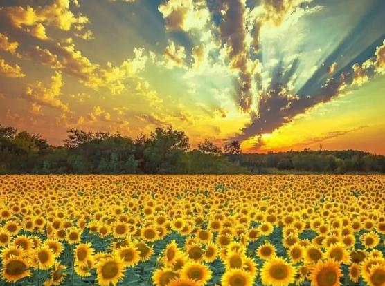 ���տ��x��߀�����_�᣿���տ��_����Ҫ���