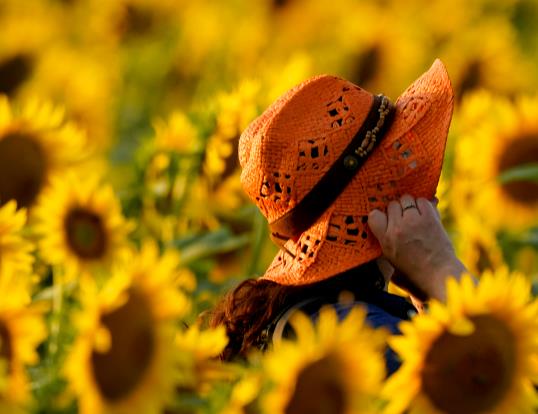 ���տ�һ�Ν�����ˮ�����տ���һֱ����̫��D���Dȥ��