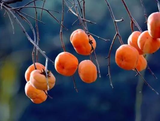 �Դ����Ӹ��X�M�읭���᣿�����ϵĴ����ӌ�(du��)���w�к���