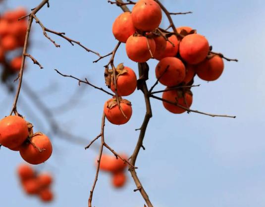 �Դ����Ӹ��X�M�읭���᣿�����ϵĴ����ӌ����w�к���