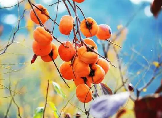 �����Ӷ�ÿ��Գ��u�������Ӻ��u��һ��Ե�Σ��