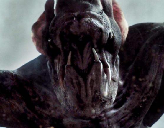 ����ʮ���yĻ�֫F���а񣬽�����(zh��n)�����O������˹�����������c����