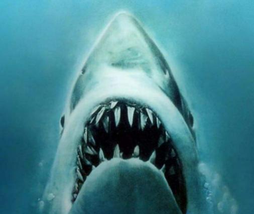 ����ʮ���yĻ�֫F���а񣬽�����(zh��n)�����O������˹�����������c����