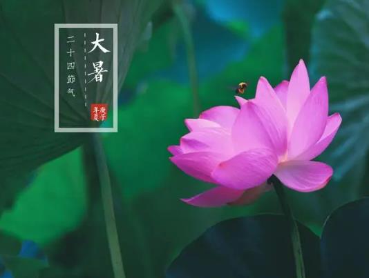 2023�������߀�Ǜ�����2023������^������׃����