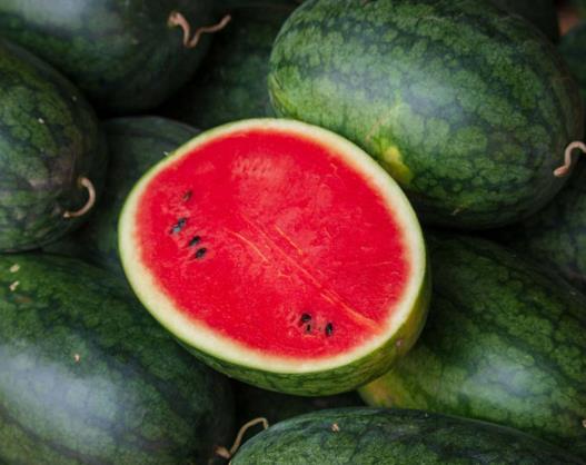 ���������Ϟ�ʲô���ܳԣ����������Ϻܼt�І��}��