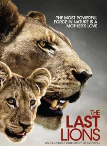 ����ʮ�����o�Ƭ����؂��ë�v�Uӛ�ܿɐ������Ī{�ӎ������p��ԭ����