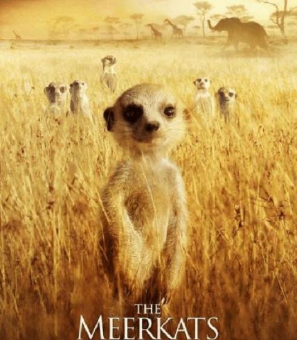 ����ʮ�����o�Ƭ����؂��ë�v�Uӛ�ܿɐ������Ī{�ӎ������p��ԭ����